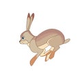 Running hare. Scene from wild. Cartoon character vector flat illustration isolated on a white background