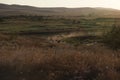 Running herd of horses. Steppe landscape with horses. Dust on road from running horses. Horses and foals are running to farm.