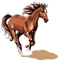 Running horse Royalty Free Stock Photo