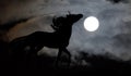 Full Moon Horse Royalty Free Stock Photo