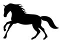 running horse black silhouette on white background Royalty Free Stock Photo