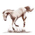 Running horse black and white watercolor style on white background Royalty Free Stock Photo