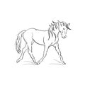 Running horse vector outline