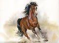Running horse Royalty Free Stock Photo