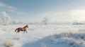 Brown Horse Galloping Through Snowy Field in Winter Landscape Royalty Free Stock Photo