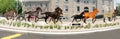 Running Horses Sculpture, Ottawa, Ontario, Canada Royalty Free Stock Photo