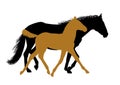 Running horses - silhouettes Royalty Free Stock Photo