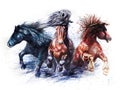 Running horses, watercolor colorful painting, animals