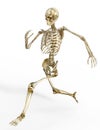 Running Human Skeleton