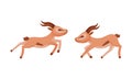 Running and Jumping African Gazelle as Fawn-colored Antelope Species with Curved Horn Vector Set Royalty Free Stock Photo