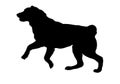 Running and jumping central asian shepherd dog puppy. Black dog silhouette. Pet animals. Isolated on a white background Royalty Free Stock Photo