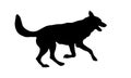 Running and jumping czechoslovak wolfdog puppy. Black dog silhouette. Pet animals. Isolated on a white background Royalty Free Stock Photo