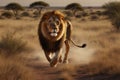 Running Lion