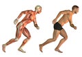 Running man anatomy study Royalty Free Stock Photo