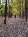 Running man in blue jacket on forest road in autumn