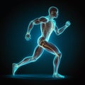 Running man, healthy runner, scientific illustration, modern sports