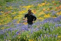 running through the meadow Royalty Free Stock Photo