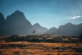 Running in mountains. Trail Run photo, sunset light . Man on yellow meadow under blue sky Royalty Free Stock Photo