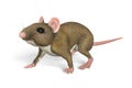 A running mouse - photorealistic 3d render