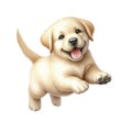 Running playful Golden Retriever puppy. Watercolor