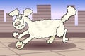 Running poodle dog cartoon illustration