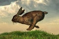 Running Rabbit