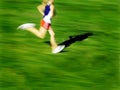 Running a Race Royalty Free Stock Photo