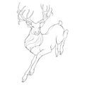 A running red deer stag BW