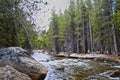 River Yosemite National Park