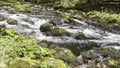 running river in forest