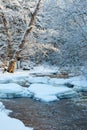 Running river in winter Royalty Free Stock Photo