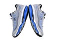 Running shoes - sneakers - trainers, in gray and blue
