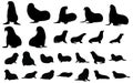 Collection of sealion silhouettes