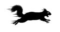 Running Squirrel Silhouette with Aggressive Expression and Speed Lines Royalty Free Stock Photo