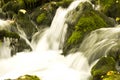 Running stream of water in a mountain river . Selective focus Royalty Free Stock Photo