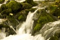 Running stream of water in a mountain river . Selective focus Royalty Free Stock Photo