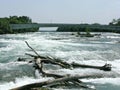 Running streamat Niagra Royalty Free Stock Photo