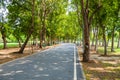 Running track with shade under the trees in public park in summer with green nature background Royalty Free Stock Photo