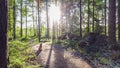 Running trail in the morning Royalty Free Stock Photo