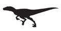 Running Velociraptor silhouette icon sign, Raptor dinosaurs symbol design, Isolated on white background, Vector illustration. Royalty Free Stock Photo