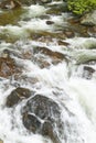 Running water beneath Pines as creek runs through Payette national Forest near McCall Idaho Royalty Free Stock Photo