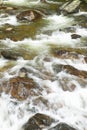 Running water beneath Pines as creek runs through Payette national Forest near McCall Idaho