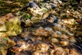 Running water over stones in a stream