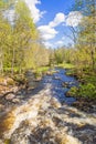Running water in river by a lush green budding forest Royalty Free Stock Photo