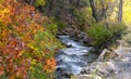 Big Cottonwood creek in Utah, surrounded with fall foliage