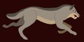 Running wolf. Vector illustration on dark brown background. Wild wolf with opened mouth, big tooth. Royalty Free Stock Photo