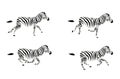 Running zebra