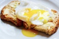 Egg on toast Royalty Free Stock Photo