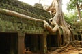 Runs of ancient Cambodian temple