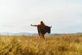 runs into the distance in the wind and hills stretching out to the sides of the hand of a girl in a colored cape Royalty Free Stock Photo